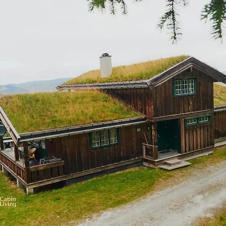 Large Cabin At Nesfjellet With Lovely View, Inddor Jacuzzi & Sauna-3