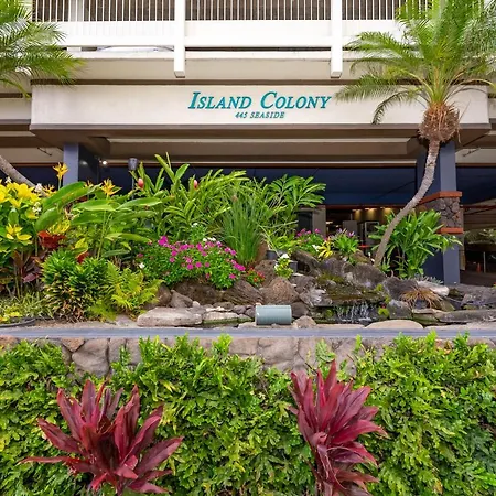 Island Colony 2020 Thirty Plus Night Rental-3