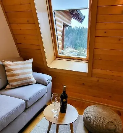 Apartment 533 In Aparthotel Vucko Jahorina - Private Host-2