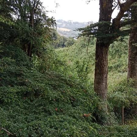 Willipeuma-3