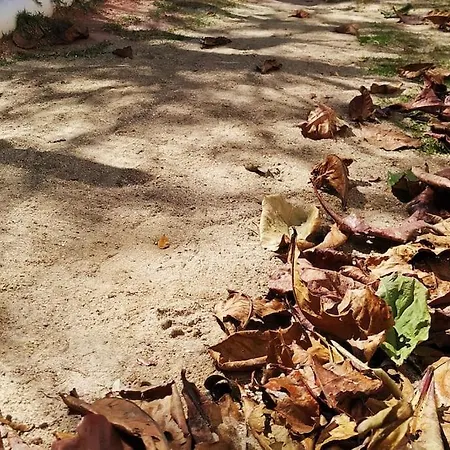 Casa A Poucos Passos Da Praia - Cod 113-2