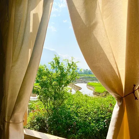Maison Rose & Jardinier Eco Homestay-3