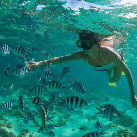Intercontinental Mauritius Resort Balaclava Fort By Ihg-3