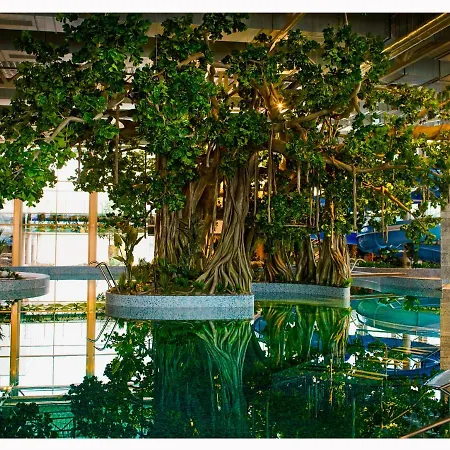 Amazonia Hotel-3