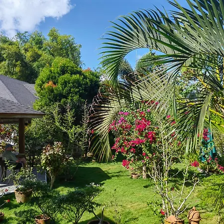 Garden Bungalows Resort-3