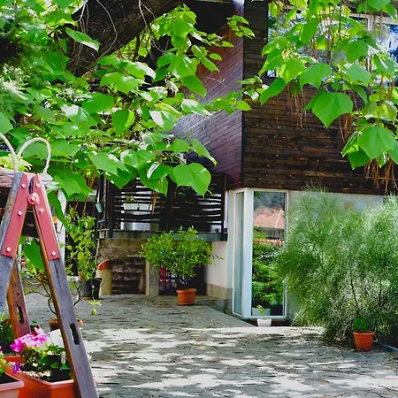 Villa "Forest Way"-3