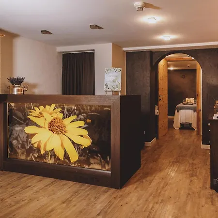 Hotel DIE SONNE-2