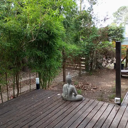 Casa Buda-3