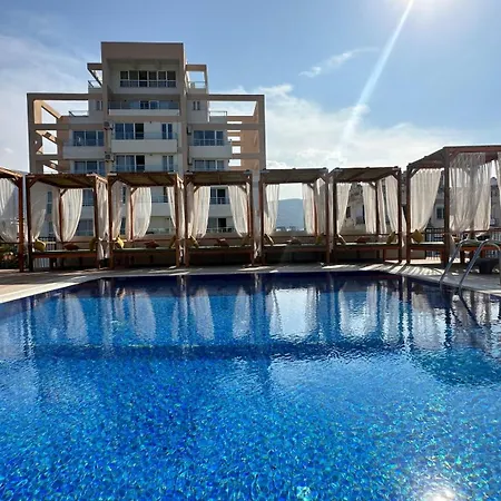 Olivia Palm Hotel-3