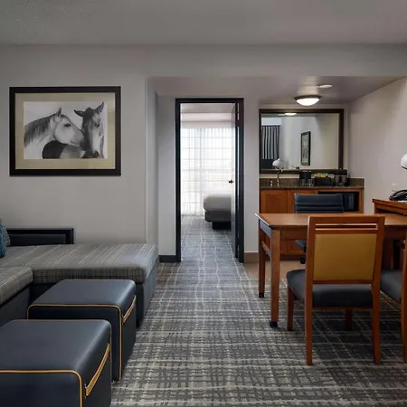 Embassy Suites By Hilton Austin Central-2
