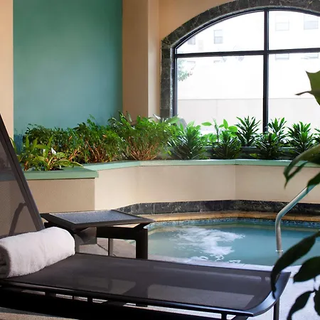 Embassy Suites By Hilton Houston Near The Galleria-3
