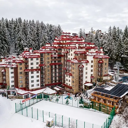 Complex Kamelia-3