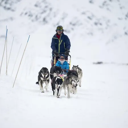 Smuksjoseter Fjellstue, Rondane Mountainlodge-2