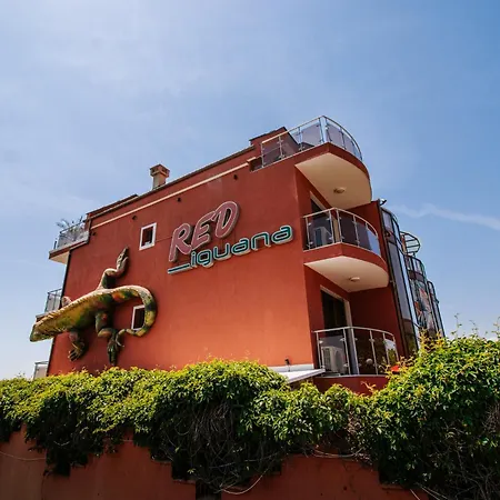 Red Iguana Hotel-2