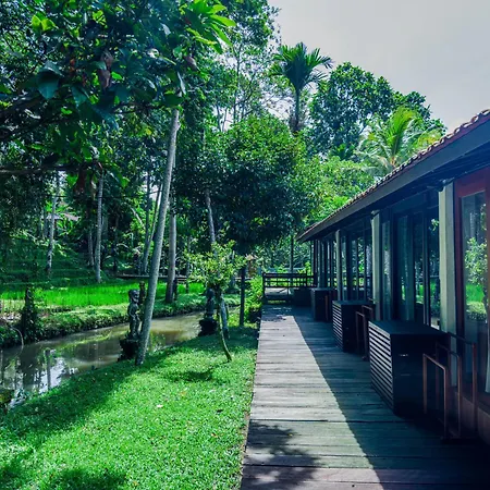 Ubud Sari Health Resort-2