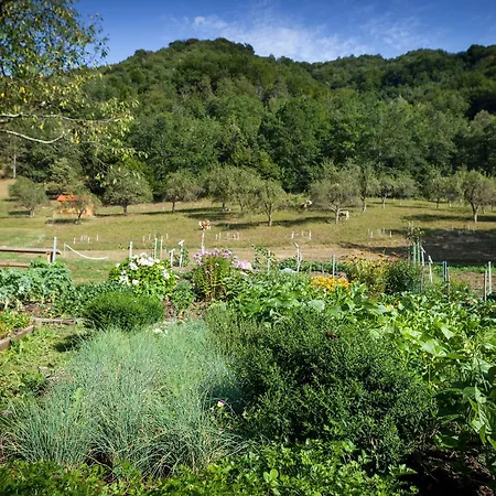 Tourist Farm Zelinc-3