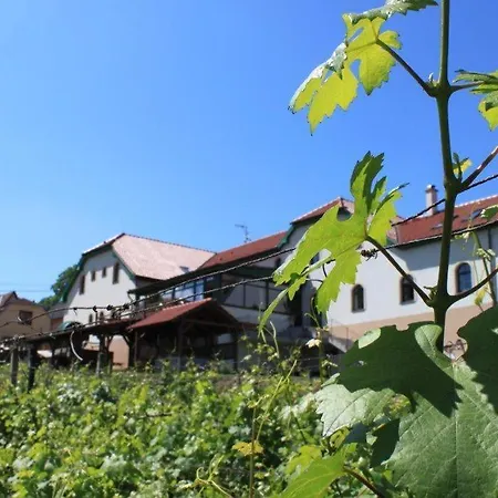 Hotel Vinohrad-3