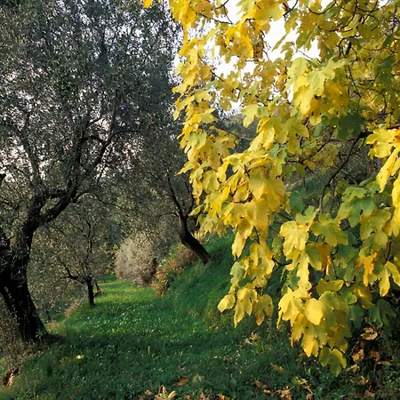 Dimora Bolsone-2