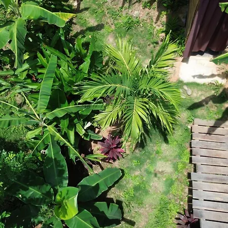 The Valley Tayrona Hostel- A Social Jungle Hostel-2