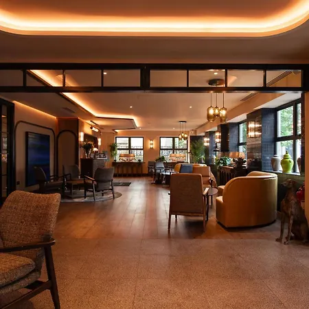 The Address Sligo-3