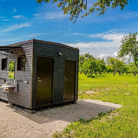 Romantic Stay In Apple Tree Park - Vintage Gaz-63-3