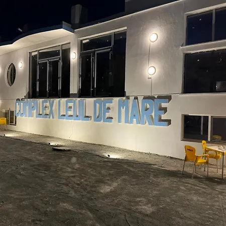 Leul De Mare-3