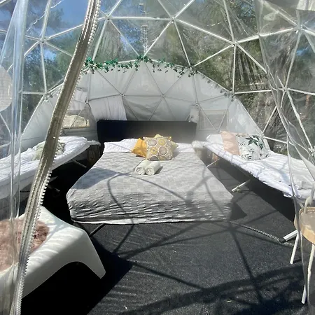 Finndome-2