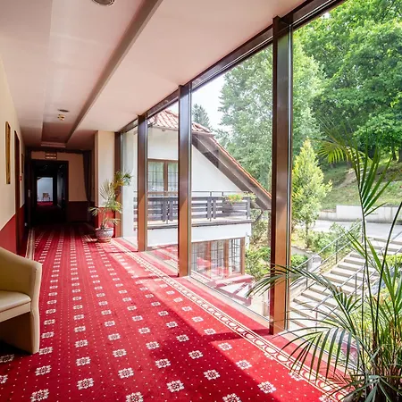 Hotel Dziki Potok Karpacz-3
