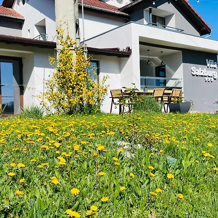 Vila Salzburg-3