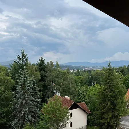 Prestige Forest Zlatibor-3