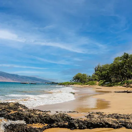 Maui Banyan T-305-3