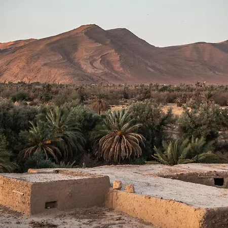Oasis Travel-3