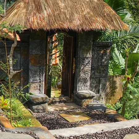 Vamani House-2