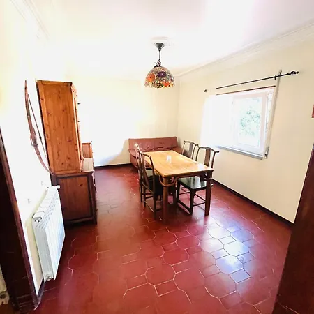 Casa Do Flamingo-3