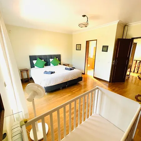 Casa Do Flamingo-2