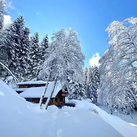 Marmotte Mountain Retreat-3