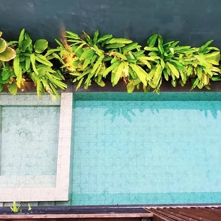 Casa Tropica Villas - Lambana Villa Modern Hot Spring Pool Pet-Friendly Private Resort With Mountain View-3