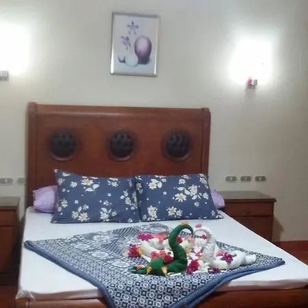شاليهات اهرامات ابراج بورتو السخنه-3
