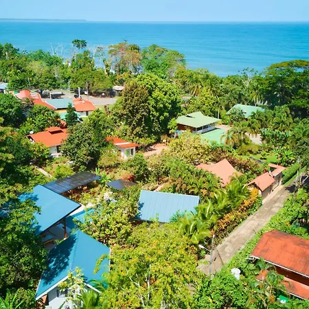 Casa Blossom - Beach Paradise Retreat, Fully Equipped, Holiday Home-2