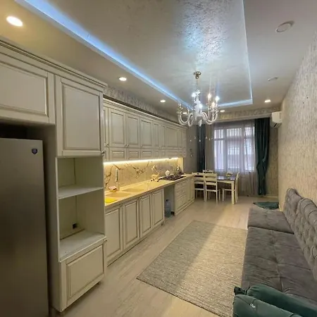 Luxury Apartment In Center Near Nizami Street-2
