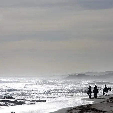 Beach-House-Ocean-Bayside-Beaches-3