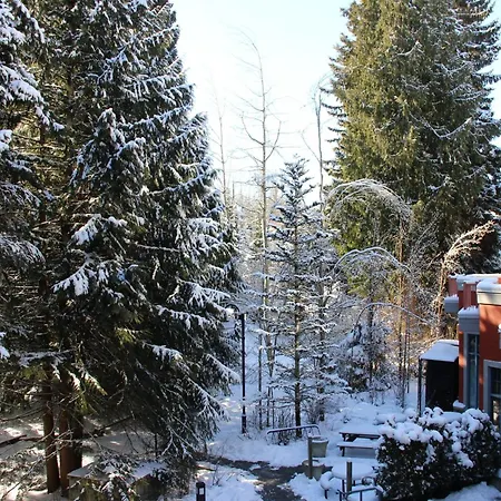 Alpenglow Lodge Studio With Pool Views By Mva-2