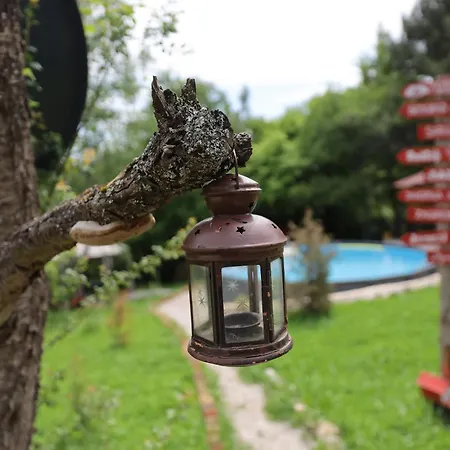 Forest Home-3