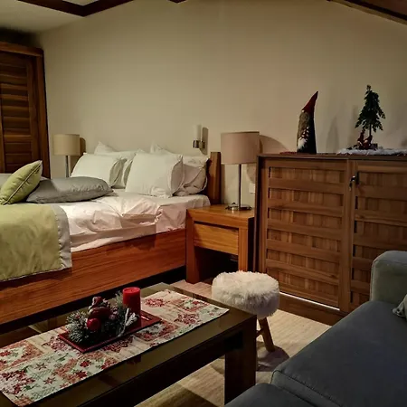 Apartman Lux B614, Aparthotel Vucko, Jahorina, Private Host-3