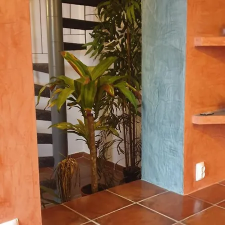 Villa Chic-2