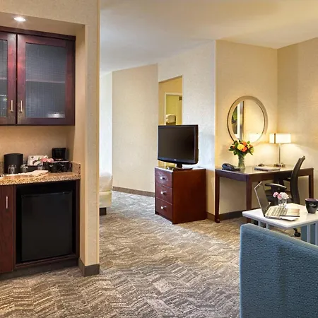 Springhill Suites By Marriott Salt Lake City Downtown-3