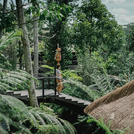 Hoshinoya Bali-3
