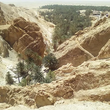 Dar Kamal-2