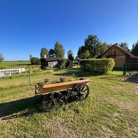 Vedru Sauna Camping-2
