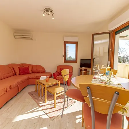 Apartment Sofija Petrovac-3